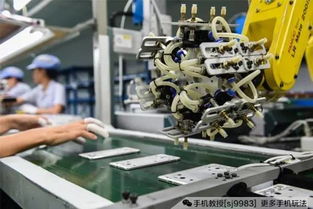 “手機教授”解析 大黑邊手機究竟值不值得買？