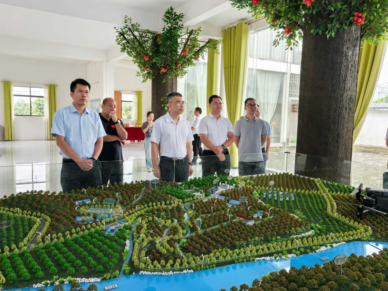 黃智宇調(diào)研欽州市靈山縣人工智能應(yīng)用軟件開發(fā)工作 以數(shù)字技術(shù)賦能產(chǎn)業(yè)升級與區(qū)域發(fā)展